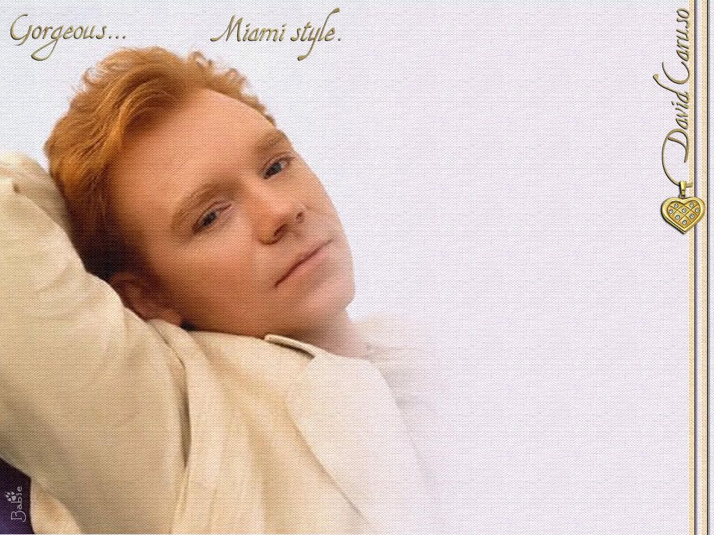 David Caruso Image | David Caru...